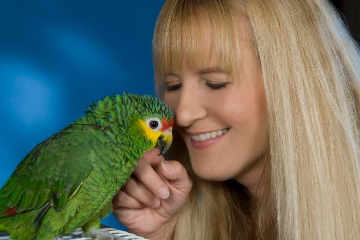 cum să înveți un papagal să vorbească