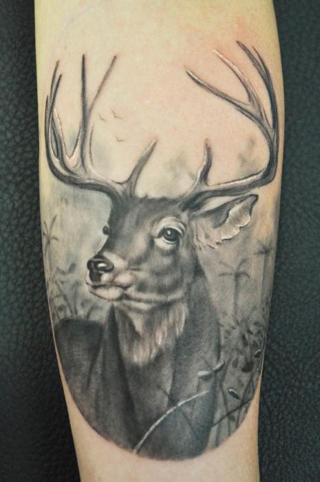 tatuaje animale