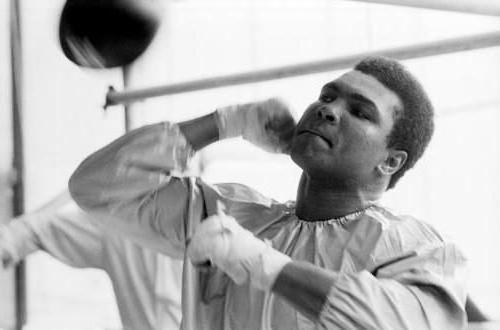 Muhammad Ali: Formarea campionilor