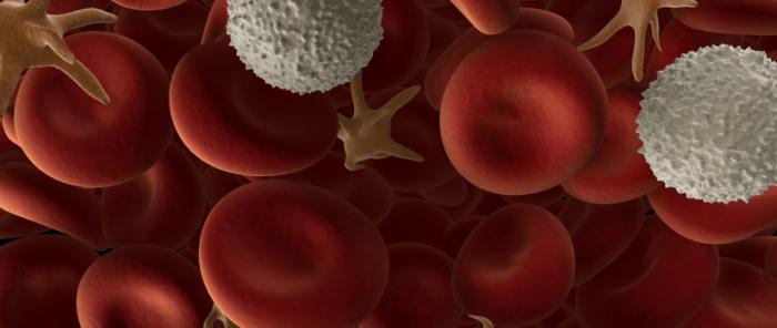 limfocite crescute în sânge